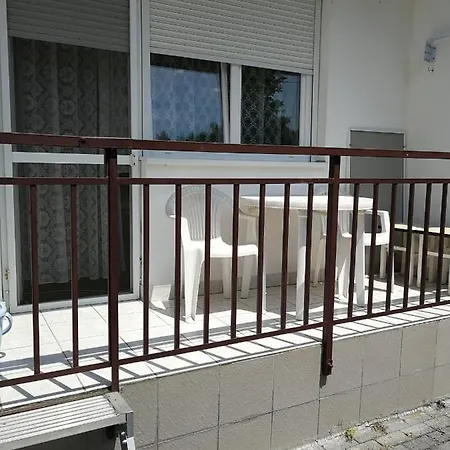 Dorka 본보야크바세기