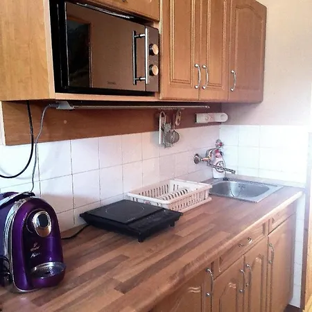 Dorka * 본보야크바세기