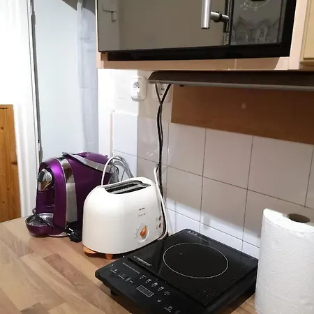 Dorka * 본보야크바세기