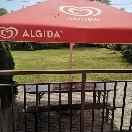 Dorka 본보야크바세기